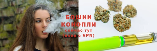 дживик Осташков