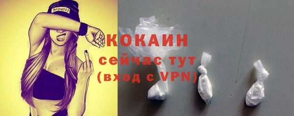 молекула духа Нягань