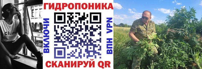 Каннабис планчик  Тырныауз 